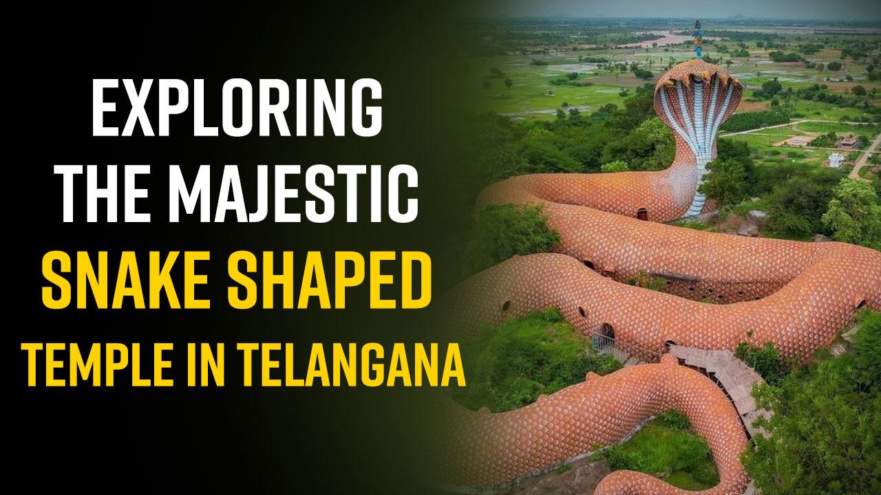 Telangana Snake Temple Latest News Videos And Photos On Telangana telangana-snake-temple-latest-news-videos-and-photos-on-telangana